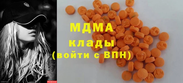 гидра Арсеньев