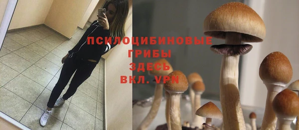 гидра Арсеньев