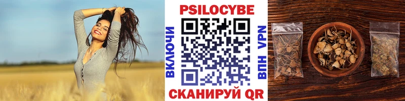 Галлюциногенные грибы Psilocybine cubensis  Купить  Михайловка 